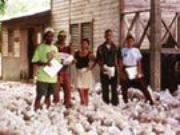 many bags of material