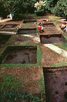 Excavations at the Ximenez-Fatio site.