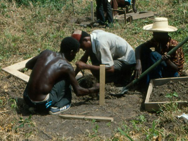 workers excavating soil