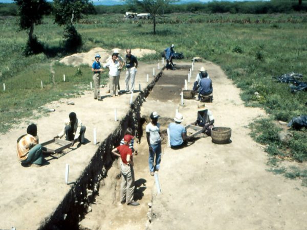 Excavation in progress, 1980