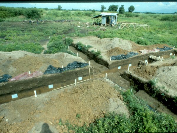 dig site