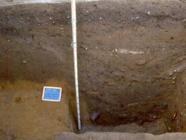 Postmold for a burned structural post on the central mound