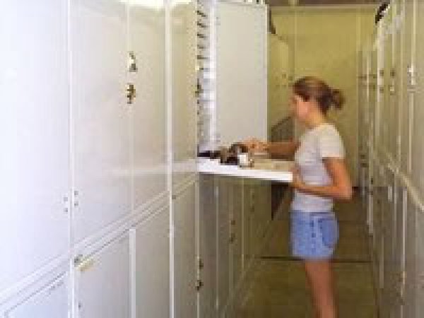 Christina Leonard removing an artifact from the cabinets
