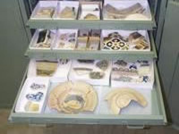 Ceramic type specimens in drawer