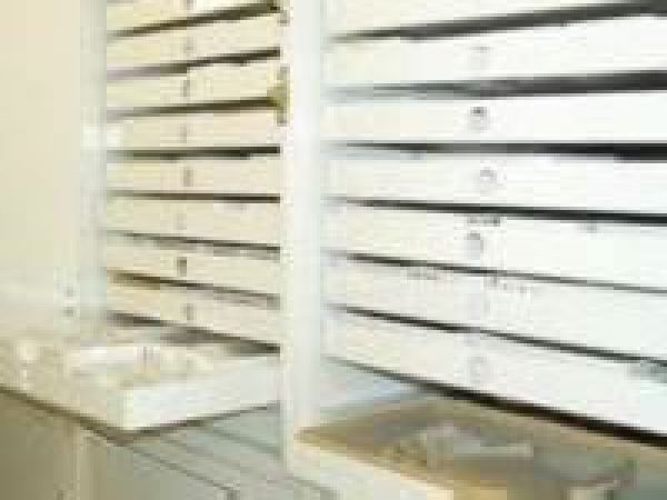The historical archaeology research collections storage cabinets