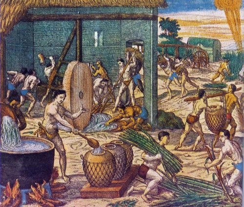 Native American and African slaves working in a Hispaniola sugar plantation. Theodore de Bry, America. part 5. Frankfurt, 1596