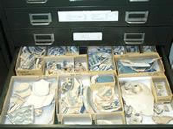 majolicas from ceramic type collection