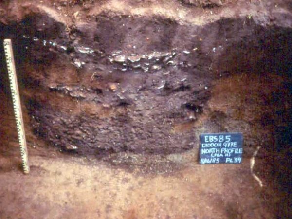 Cross section of feast pit in central paza area