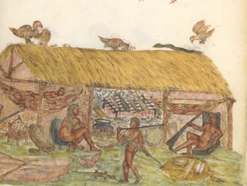 16th century image of a Caribbean native house. Plate 113, Histoire naturelle des Indes: The Drake Manuscript in the Pierpont Morgan Library