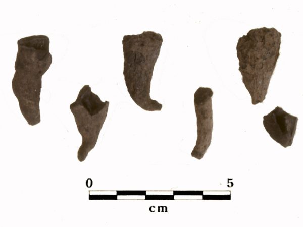 Carbonized manioc tuber ends from En Bas Saline (ca. AD 1200-1300)
