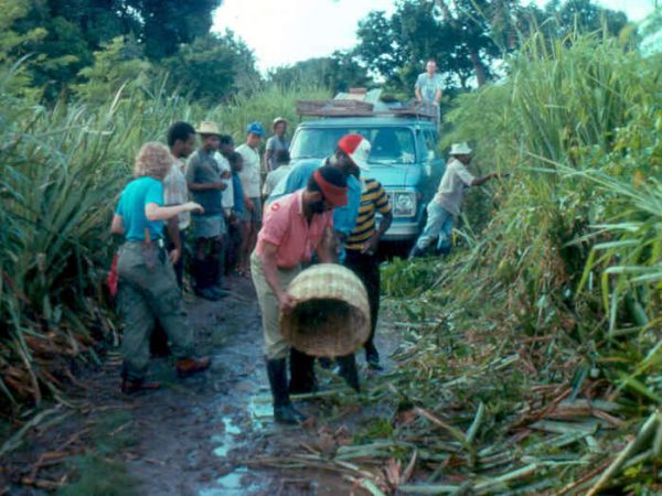 The road to En Bas Saline