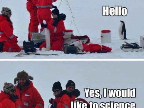 Science Penguin meme