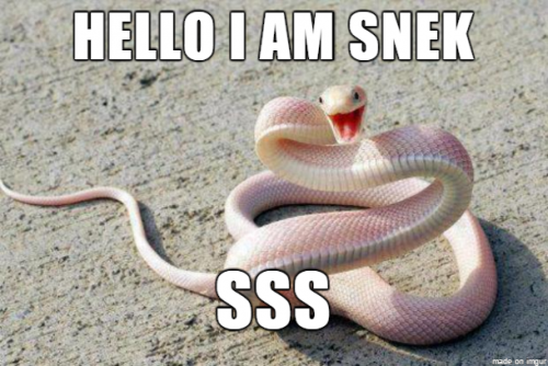 i am snek meme