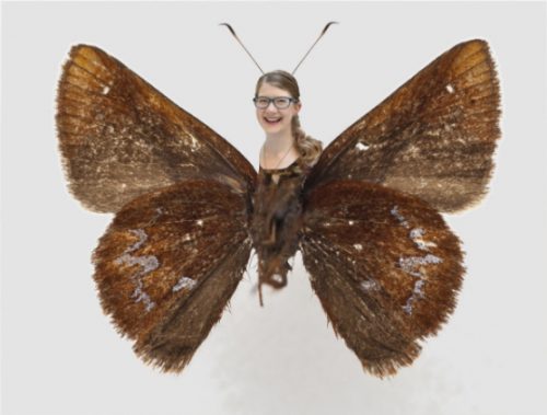Emily Graslie's head on her named butterfly