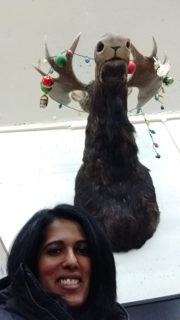 Aditi selfie with a moose