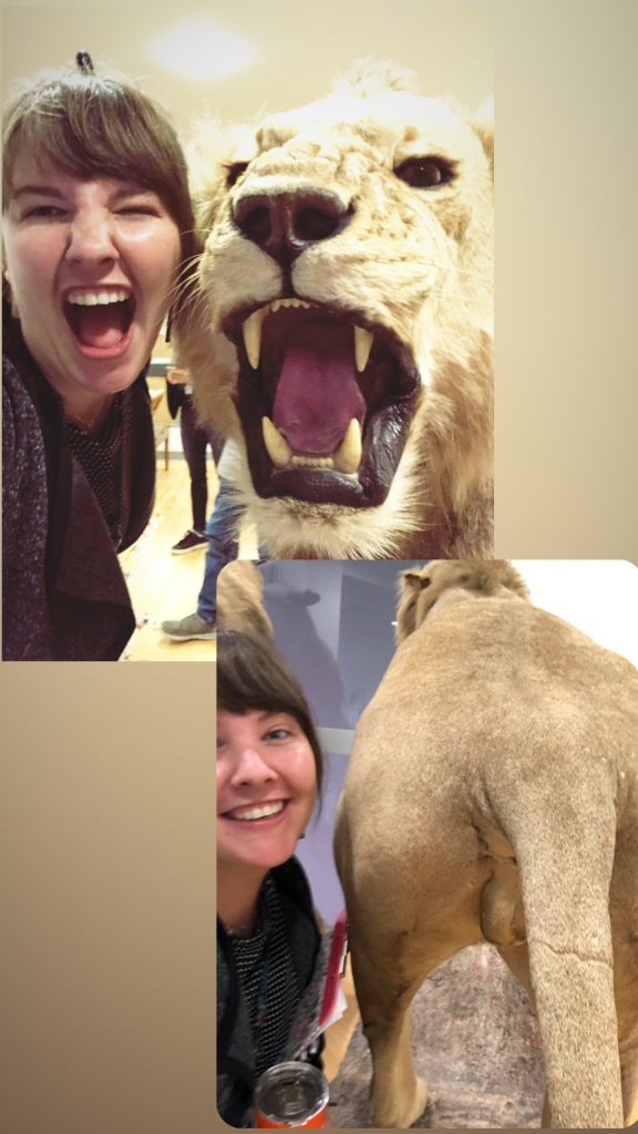 Chelsea selfie with lion exhibit