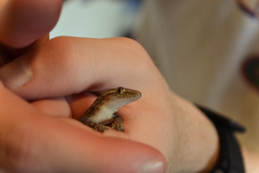 Evan captures one of the apartment residents.