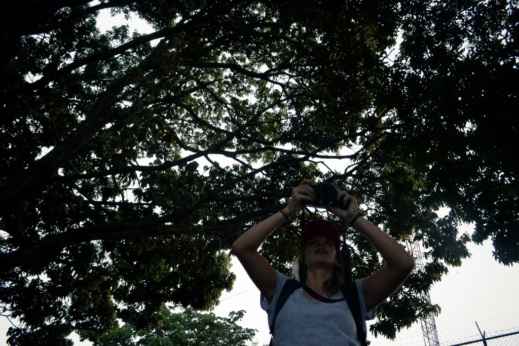 Under the shady tree