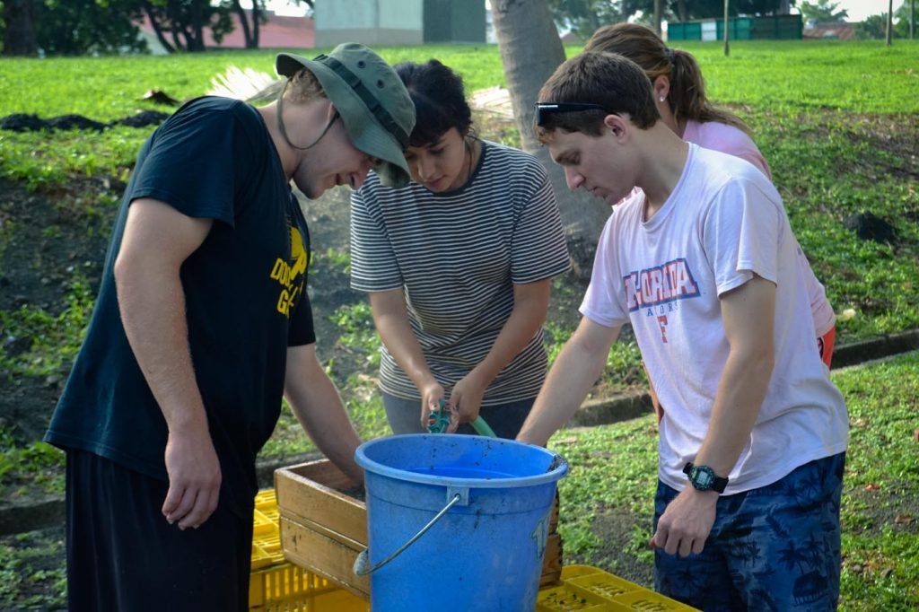 The interns prepare a bag of sediment for washing.