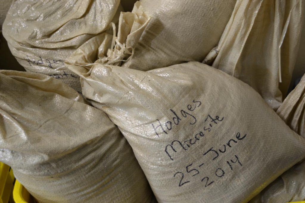 Sediment bags are labeled with locality ID and collection date.
