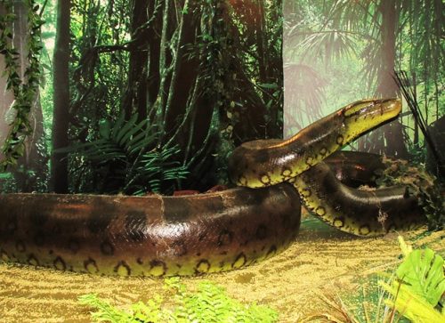 Titanoboa exhibit at Albrook Mall in Panama City. Photo courtesy of E. Whiting.