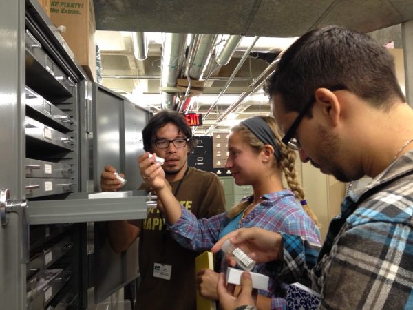 Aldo Rincon, Lillian Pearson, and Daniel Mercado examine specimens from Panama in the vertebrate paleontology collections of the Florida Museum of Natural History.