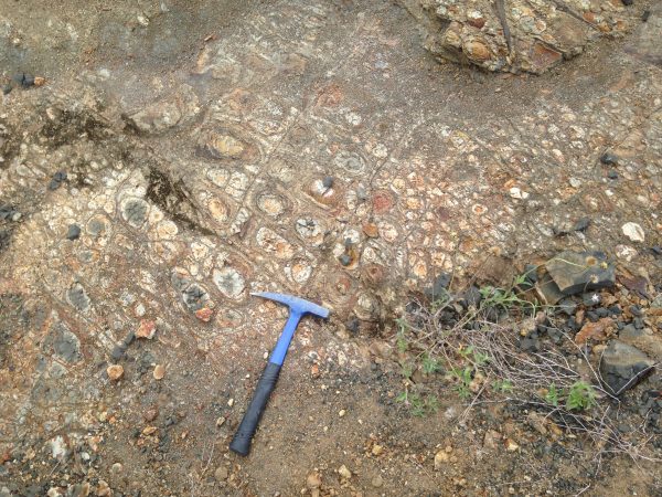 Strange concretion pavement we were unable to explain