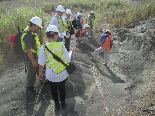 Checking out the Lirio Norte locality during the NNB4 field trip to the canal.