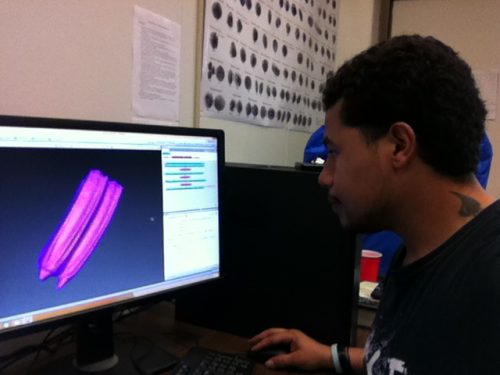 PCP-PIRE Intern Justy Alicea learning how to use the Avizo 3D imaging software
