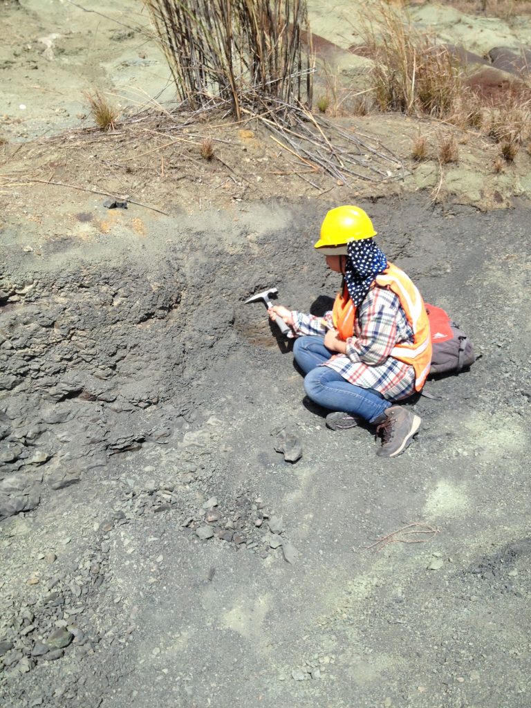 Dawn Mitchell searches for vertebrate fossils in the Las Cascadas Formation.