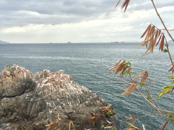 The view from Punta Culebra