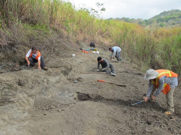 Our newly restored locality!