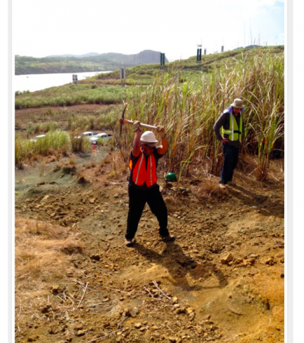 Me looking for Millipedes, and plant fossils