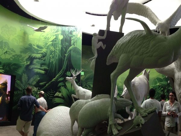 Members of the PCP PIRE Spring Break crew explore the “Worlds Collide” exhibit at the Biomuseo. The exhibit includes life-size statues of animals clashing in a representation of the Great American Biotic Interchange after the Isthmus of Panama was fully formed. Photo © Dawn Mitchell.