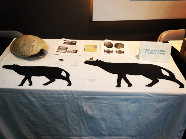 The portion of the table where we talked about how the body size of the earliest horses was affected by climate change, and where Jason Bourque talked about a turtle taxon that lived in Wyoming only during the PETM.