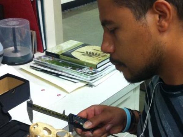 PCP-PIRE intern Justy Alicea measuring turtle skulls for his morphometric analysis