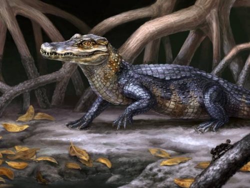 An artistic rendering of Culebrasuchus mesoamericanus. (Artwork © Danielle Byerley)