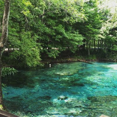 Ginnie Springs