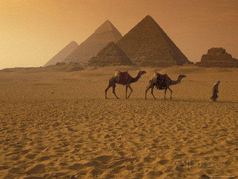 Picture taken from: http://www.allposters.com/-sp/Giza-Pyramids-with-Man-Leading-Two-Camels-Across-the-Desert-in-Egypt-Posters_i3257904_.htm