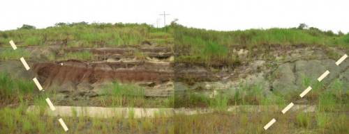 Sedimentary sequences exposed along the Panama Canal are highly faulted. Above, two photographs stitched together to give a shot of the entire outcrop. Sedimentary sequences of the Las Cascadas Formation bounded by basalts on either side. 