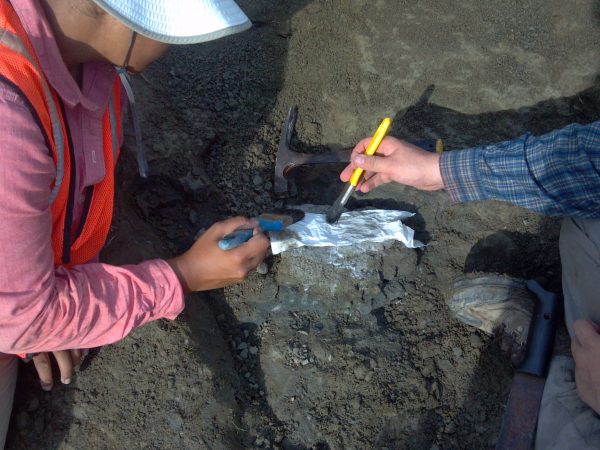 PIRE crew prepares a protective plaster jacket