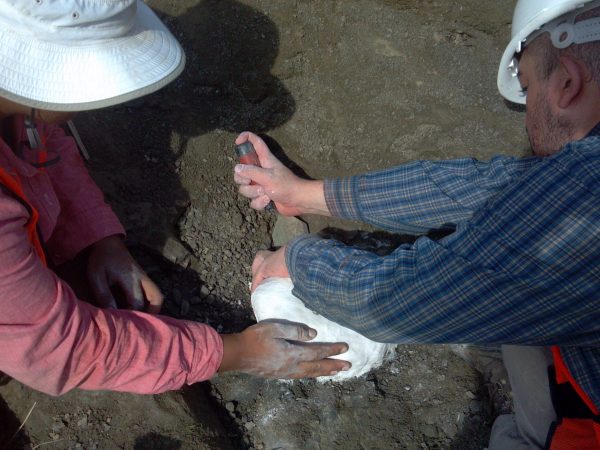 Jorge carefully used a screwdriver to chisel underneath the fossil