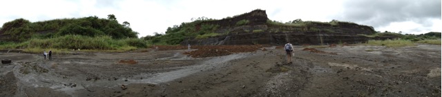 Panoramic photo of the San Judas locality, near the town of Sabanitas in Panama. Photo by C. Robins.