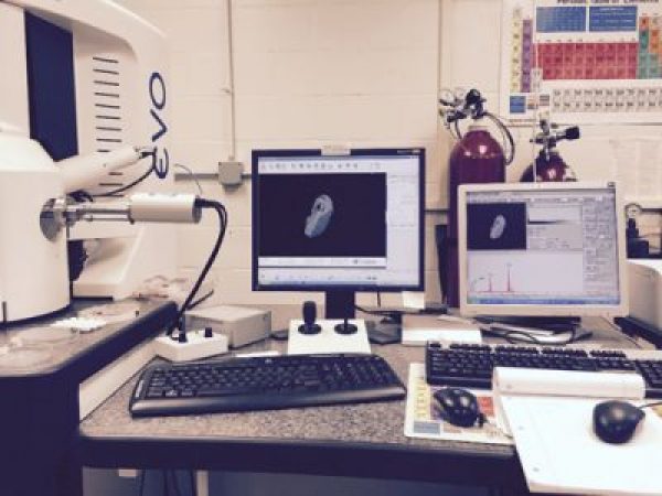Figure 1: SEM machine. Magnified image of grain in micrometer scale (left screen). Chemical atomic weights are visible as red vertical peaks (right screen). Photo courtesy of Gephen Sadove.