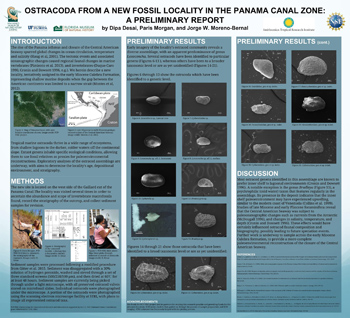 Ostracoda from a New Fossil Locality in the Panama Canal Zone: A Preliminary Report. Photo courtesy of Dipa Desai.