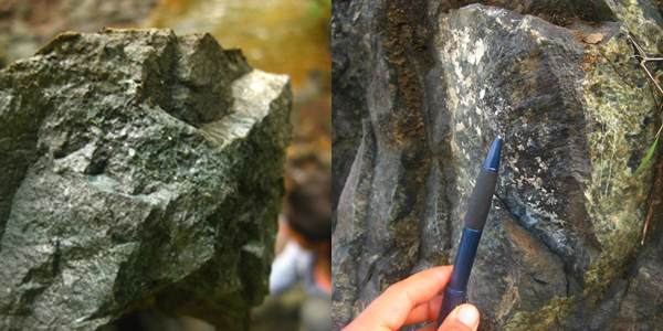 Left: Tiny sparkling grains of a blue-green metamorphic mineral (most likely epidote) that forms when volcanic basalts are hydrothermally altered. Notice the thin orange layer (perhaps microbial) on the surface, which shows weathering or breakdown of the rock ('meteorizado' in Spanish). Oftentimes it requires a rock hammer to break open the rock and see past this superficial rind. Photo courtesy of Gina Roberti. Right: Striations reveal deformation (slip) along a fault plane. When analyzing structural features, these were important clues about the type of deformation (a crack versus displacement), including the direction of slip. As field geologists, we would take note of these features and other aspects about the rock, synthesizing and discussing the information in teams later in the day. Photo courtesy of Gina Roberti.