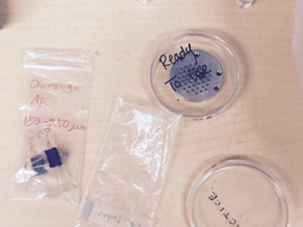 Figure 2: He analysis prep. The circular silver He stainless steel planchette contains 42 individual wells. Alongside the petri dish are the practice grains, and the Pt or Nb tubes that are used for wrapping the individual grains. Durango represents grains of already known calculated apatite ages. Photo courtesy of Gephen Sadove.