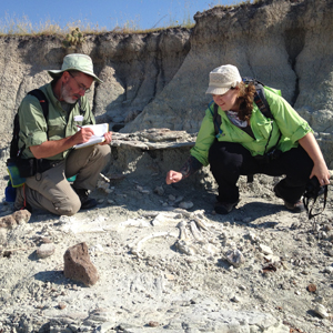 5th grade science teacher Joseph Boyle of Monroe Elementary School in Colorado and University of Florida Science Education Ph.D. student Lisa Lundgren examine a titanothere skeleton eroding out of the sediment. Photo by Cristina Robins.