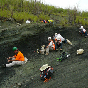 Miembros del grupo de Florida trabajan con las becarias de campo a encontrar fósiles en Las Cascadas. Foto proveída por Adiël Klompmaker.