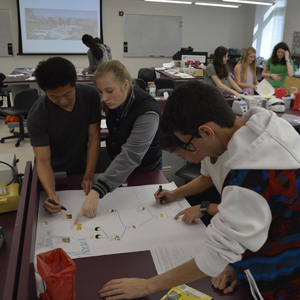Students from West Shore High School construct a phylogeny based on what they learned about horse evolution. Photo courtesy of UF CPET.
